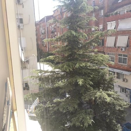 Jolie Center Apartment تيرانا المظهر الخارجي الصورة