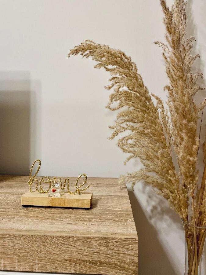 Jolie Center Apartment تيرانا المظهر الخارجي الصورة